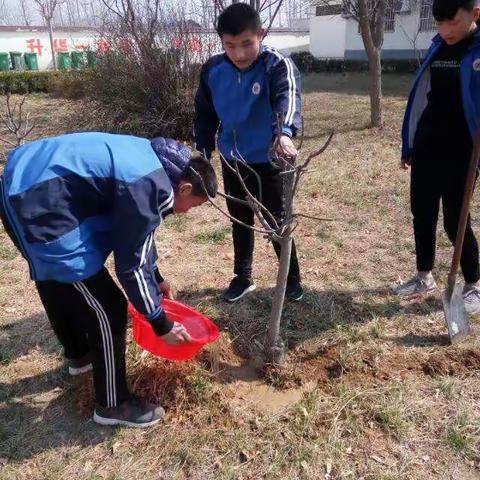 3月12日下午，桃花中学组织部分学生参加植树活动，同学们积极性很高。