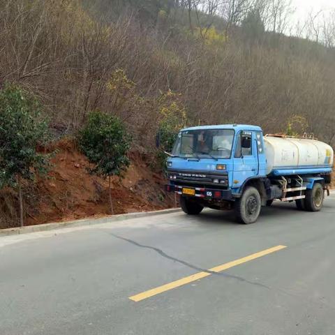 灞桥区交通运输局灞临路洪庆山段行道树补植工作迅速推进