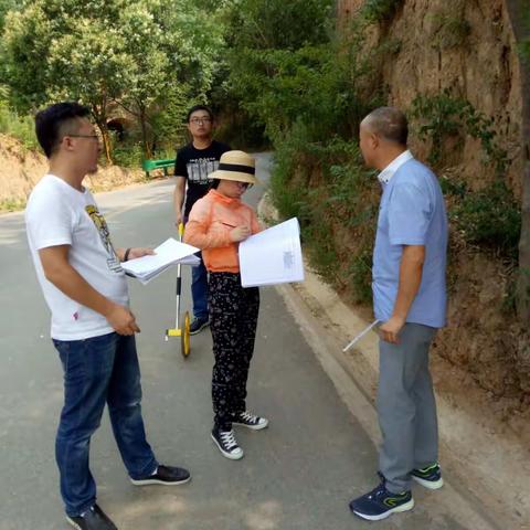 风光路二期工程，杨沟路绿化，洪阳南路二期绿化审计勘验