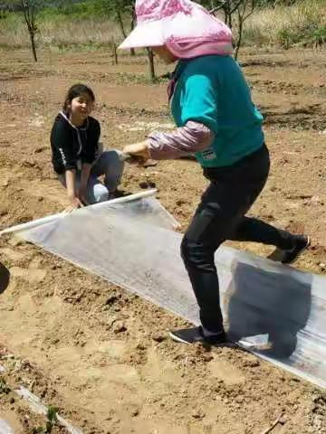 宁县开发区中学小学部开展“手拉手美丽家园我创建”活动。