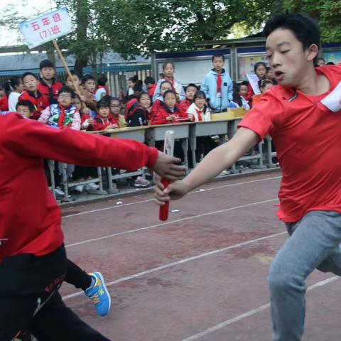 一路向阳，一路奔跑——记晃州镇第一完全小学第四十五届田径运动会精彩瞬间