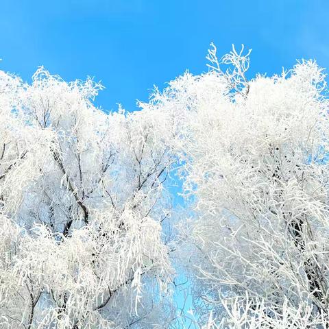 冰雪与霜雾的狂欢 极寒与热情交融