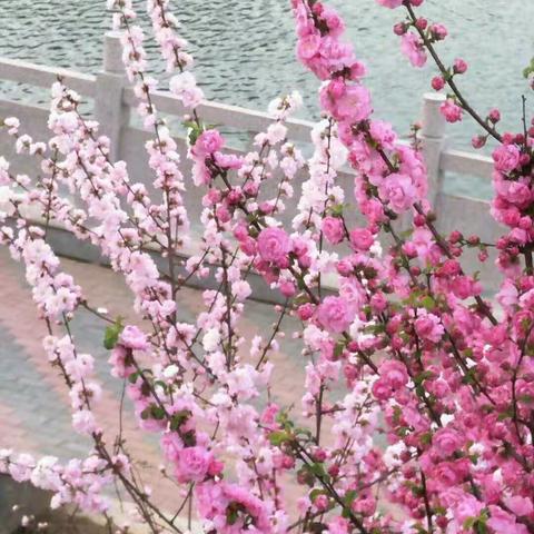 颖水河畔