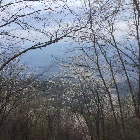 我的美篇