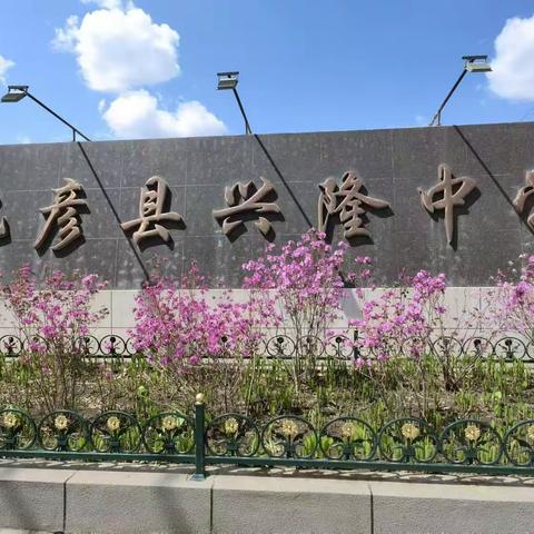 驻足兴中校园    扬帆灿烂未来——巴彦县兴隆中学欢迎你