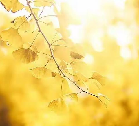 冬将尽，春可期——下曲小学线上教学活动纪实