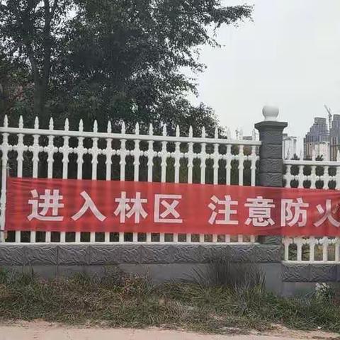 为“金山银山” 筑牢防火墙         --------殷家庄社区“重阳节”森林防火值守