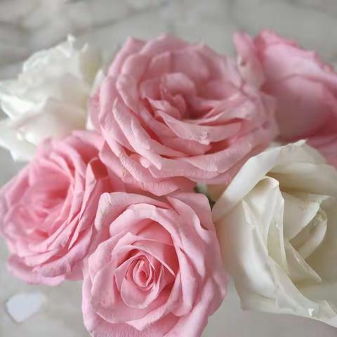 不一样的妇女节，疫情防控中的“巾帼岗”