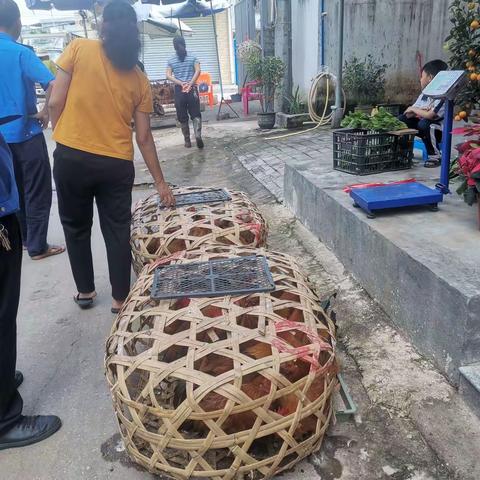 加来镇开展活禽市场整治工作