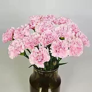 给妈妈的一封信