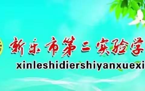 粉笔深耕三尺台，报与繁花处处开——新乐市第二实验学校语文公开课