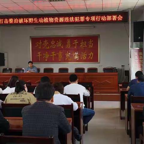 祖庵镇集中打击食品药品领域非法经营野生动植物行为工作进展