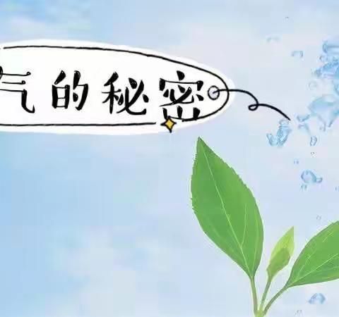 塔头附属幼儿园中班科学活动——空气的秘密