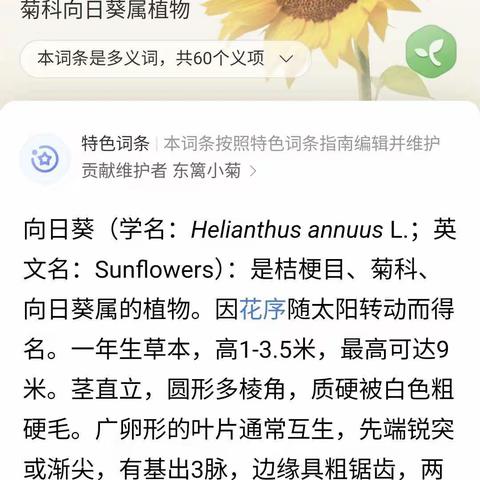 2002班30号隆萱钰的植物画报