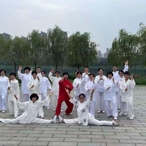美哉——太极！