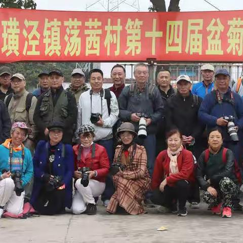 太仓璜泾菊花展