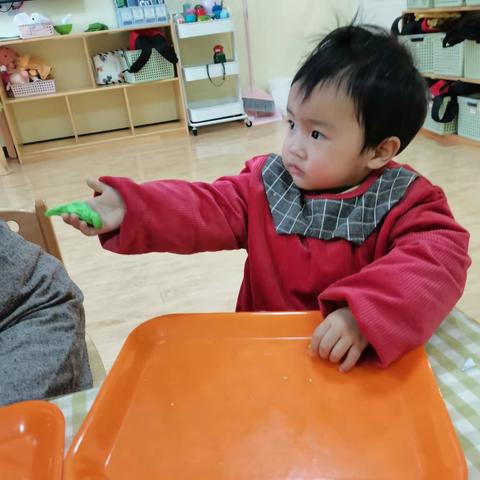 李群力的美篇