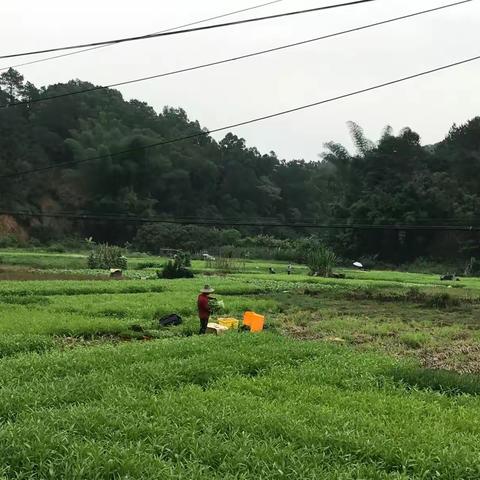 爱的守望——信宜市第十小学五月家访记忆