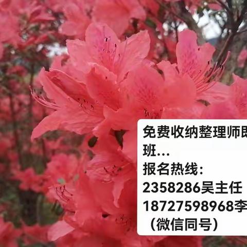 马河第1期免费家政服务员班3月31号（相约在--春天里）