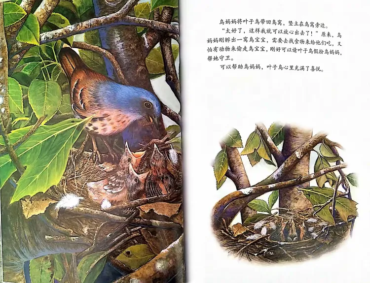 河东区启智学校【幸福成长绘本故事】叶子鸟