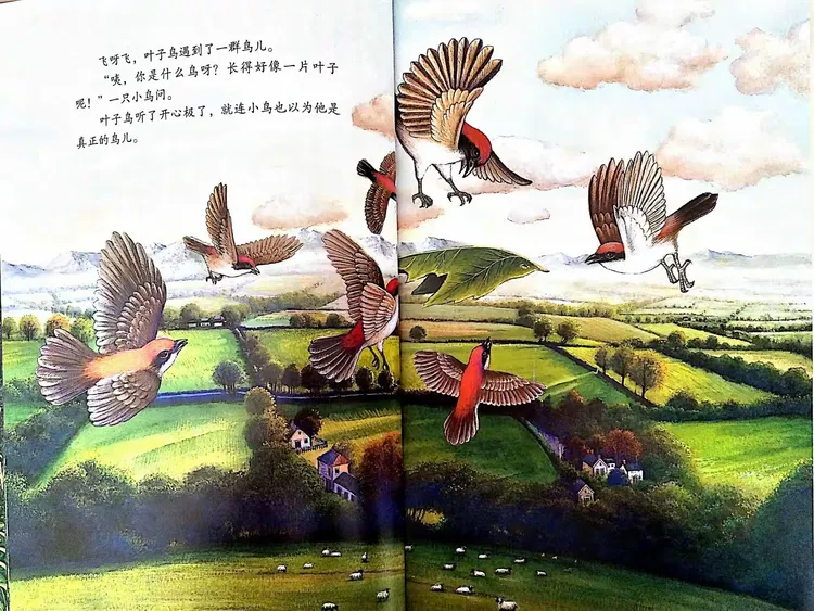 河东区启智学校【幸福成长绘本故事】叶子鸟