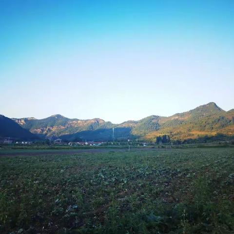 明利蔬菜莲花山基地，不同季节风景好