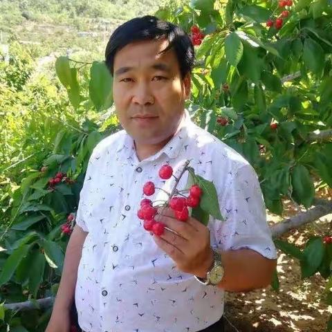 安康是福明利蔬菜的美篇