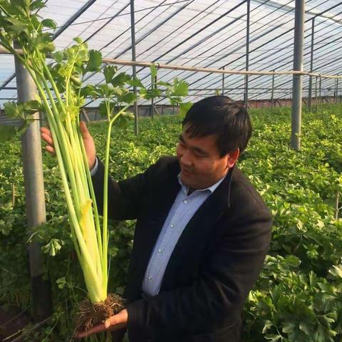 这些年来、学到很多、收获了很多、还是脚踏实地的拼博、努力必有收获。