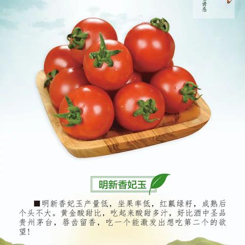 明利蔬菜爆款产品“明新香妃玉”唇齿留香。