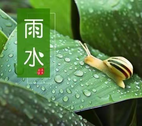 雨水至，春萌动