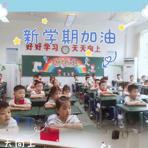 破茧成蝶，全新起航