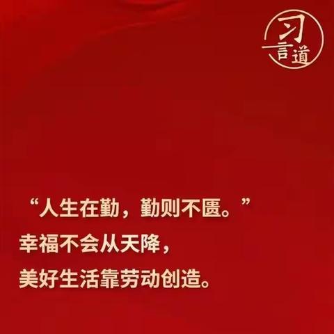 劳动砺心志 实践促成长——礼泉县育才小学赴欣农兴劳动教育实践基地活动纪实