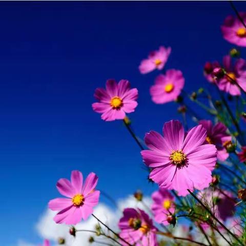 四（9）班——时光不语，静待花开