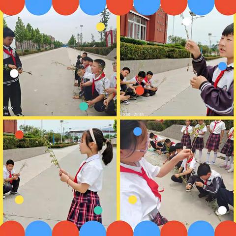 舞钢新时代学校小学部五月科学课——走进生活，走进科学！