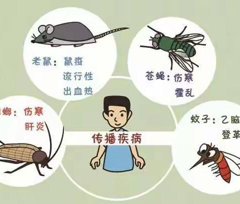 做好春季病媒生物防制，让你轻松解决“四害”