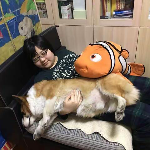 欢欢的生活