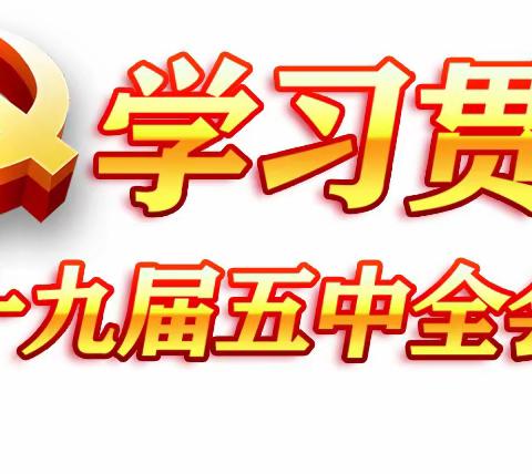 【五育并举】在十一小，党的十九届五中全会精神这样进校园