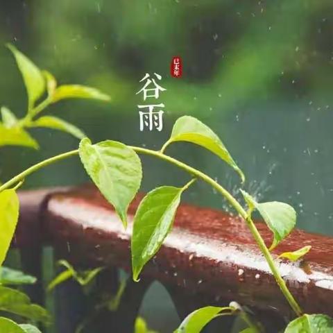 二十四节气之谷雨