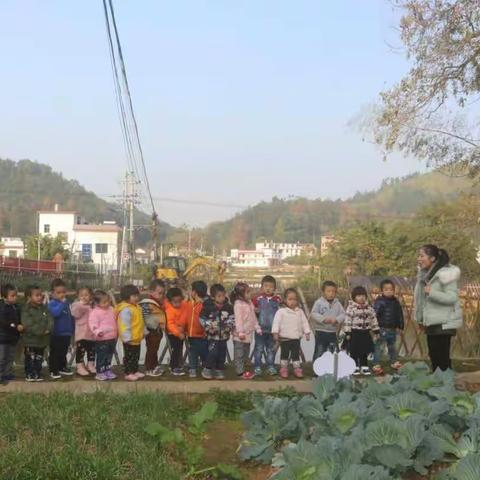 参观小菜园 拥抱大自然