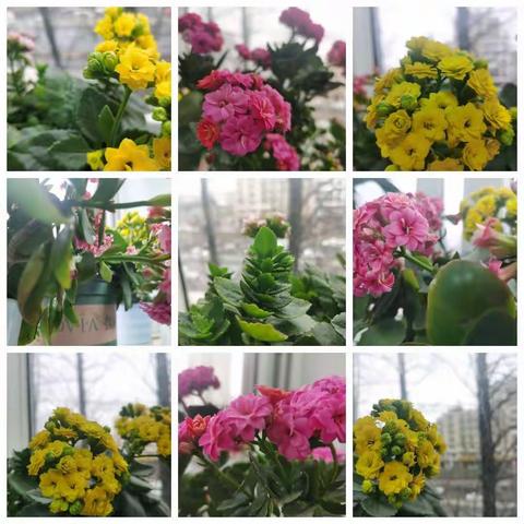 记录重新回归社会宝妈的心理瞬间