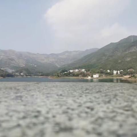 长大后却失去了很多