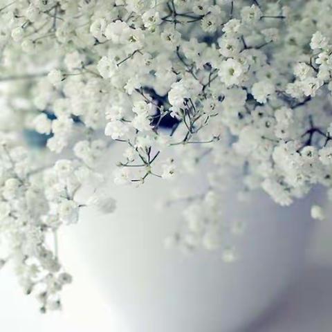 转身后，该如何安静的做自己