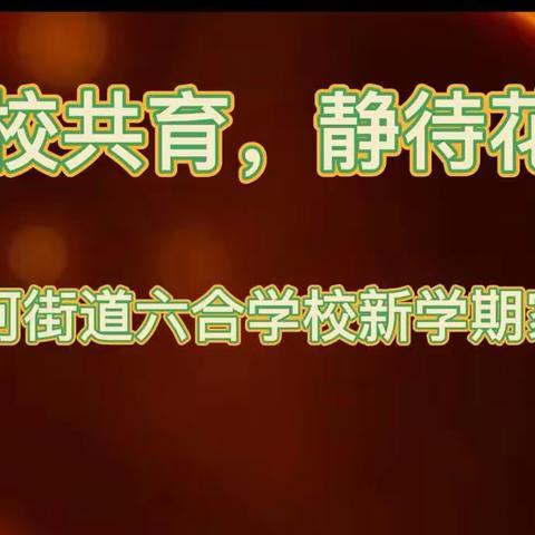 【和谐教育 幸福东沙河】家校共育，静待花开——记东沙河街道六合学校家长会