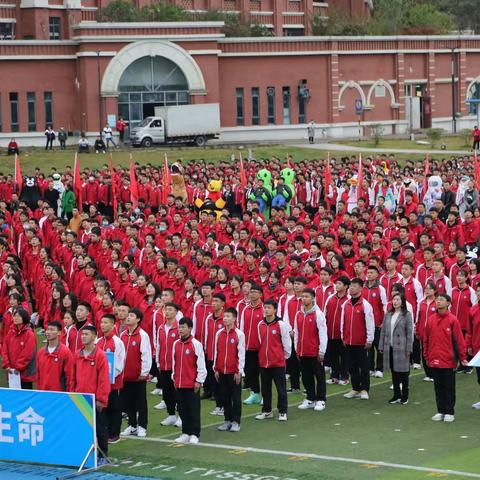 挥洒青春·追逐梦想