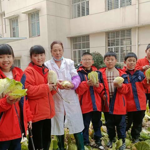 大新路小学桃源校区植物园