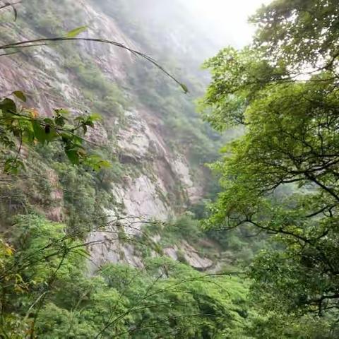 印象婺源（四）