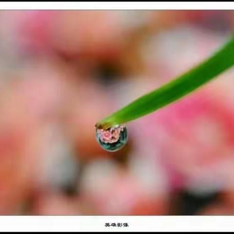 我的美篇