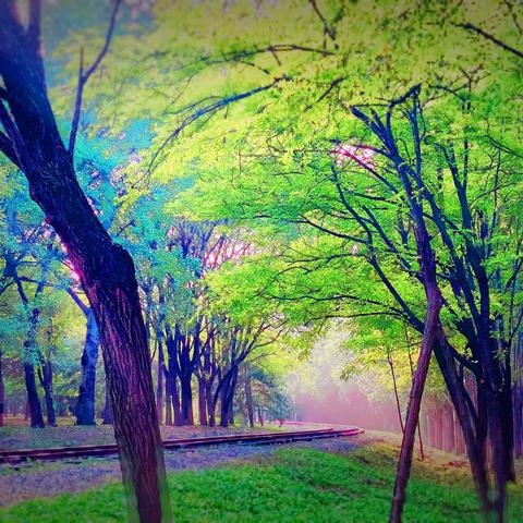 藏在城市里的绝美秘境