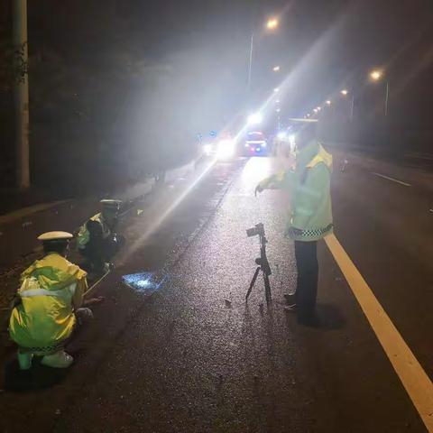 忠诚担当 熬夜奋战 成功侦破8.05致人死亡肇事逃逸案