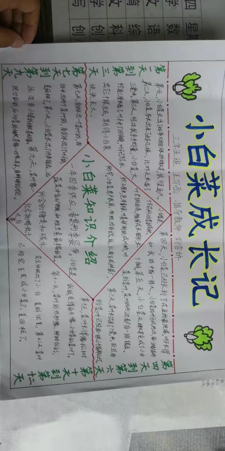 —4月25日 三年五班